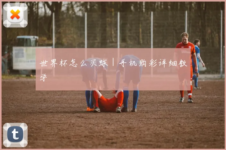 世界杯怎么买球｜手机购彩详细教学