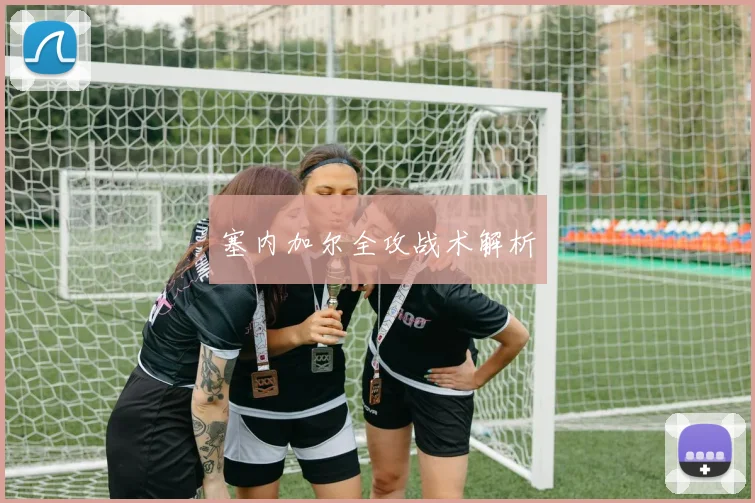 塞内加尔全攻战术解析