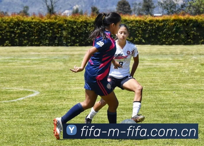 2026世界杯 - 国际足联官方中文网站最新版