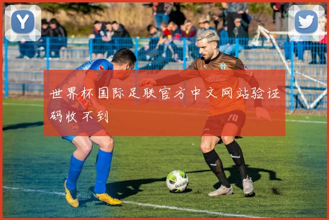世界杯国际足联官方中文网站验证码收不到