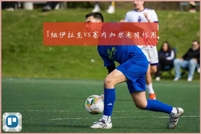 I组伊拉克vs塞内加尔老将作用