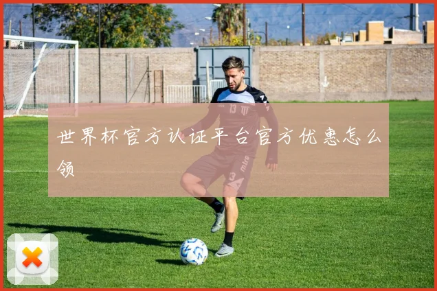 世界杯官方认证平台官方优惠怎么领