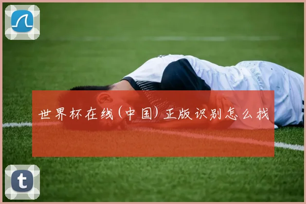世界杯在线(中国)正版识别怎么找