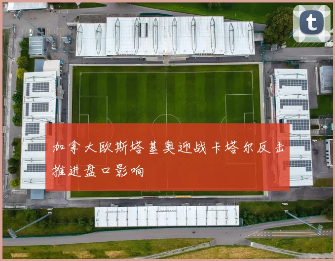 加拿大欧斯塔基奥迎战卡塔尔反击推进盘口影响